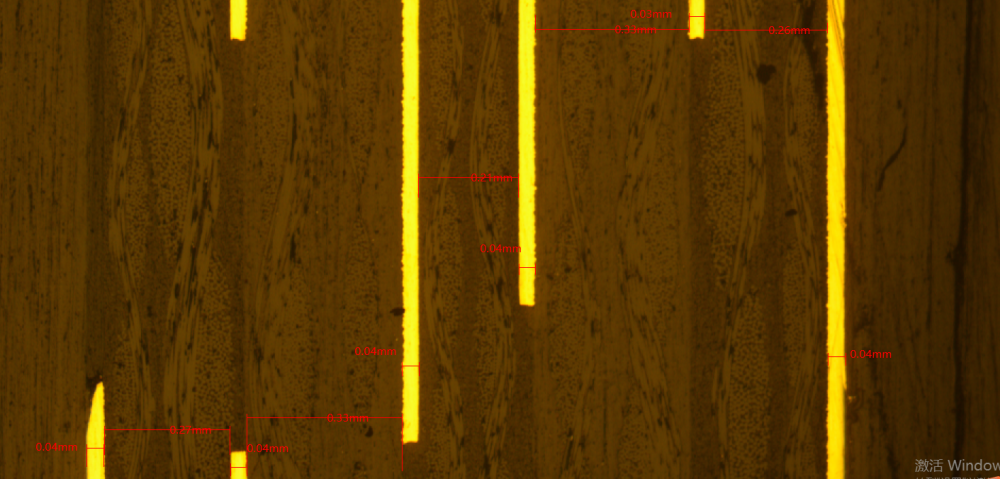 Microscopic Section 2